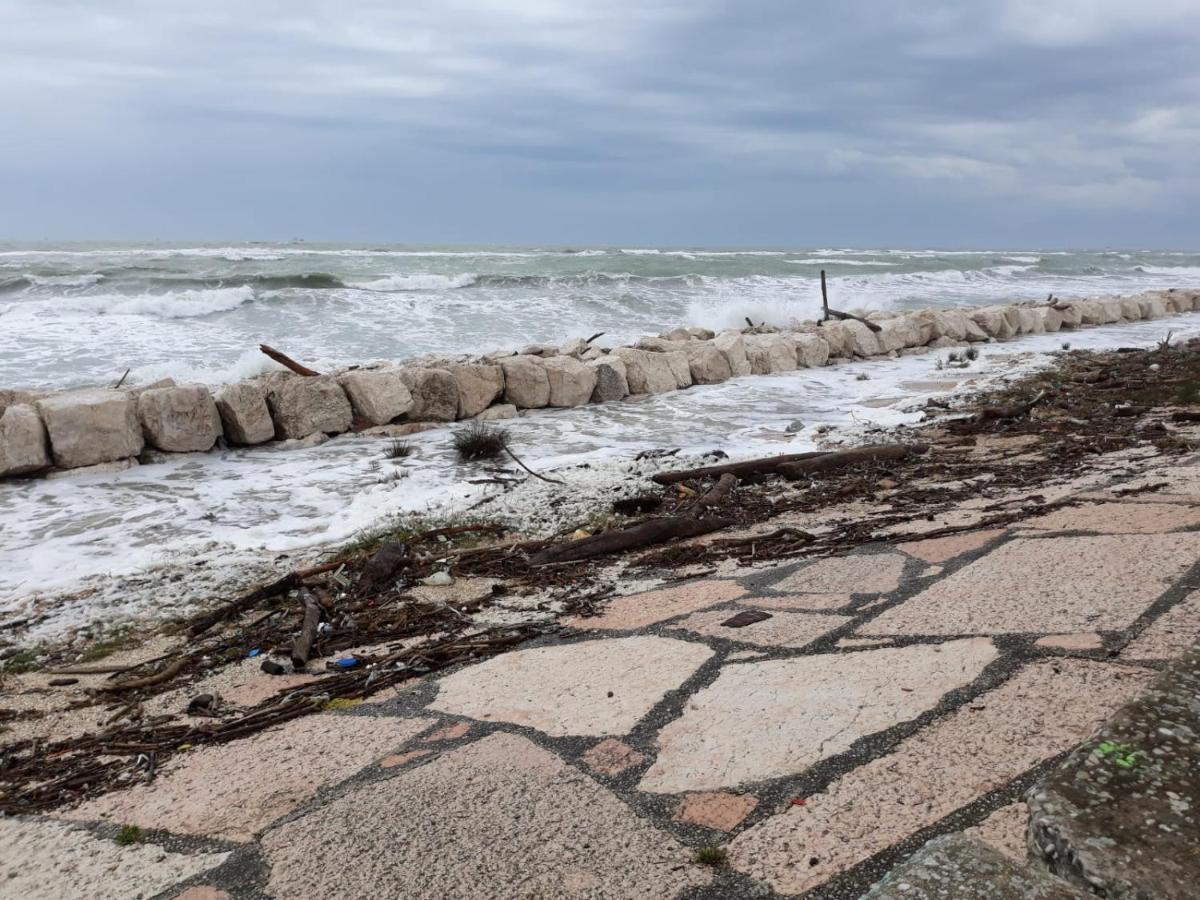 Villamamaeli Lido di Venezia Екстер'єр фото